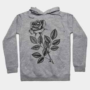 Rose drawing 2 Hoodie